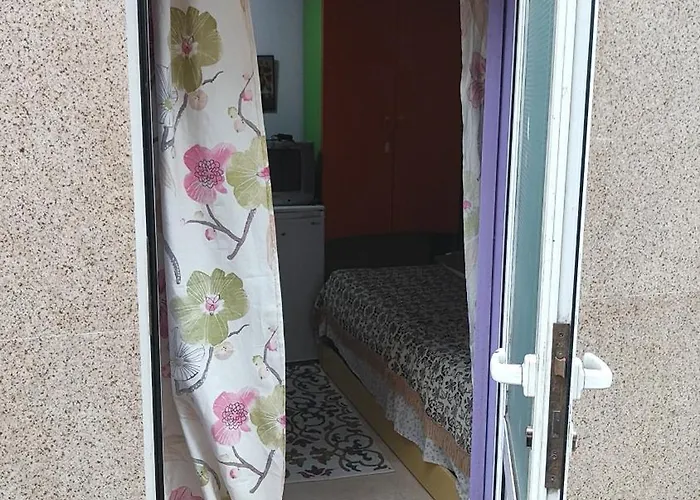 манолов Varna